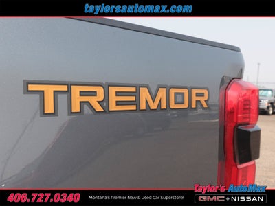 2023 Ford Super Duty F-350 SRW Platinum